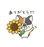 夏！毎年使える！にゃんぴーす（個別スタンプ：9）