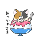 夏！毎年使える！にゃんぴーす（個別スタンプ：12）