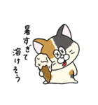 夏！毎年使える！にゃんぴーす（個別スタンプ：22）