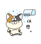 夏！毎年使える！にゃんぴーす（個別スタンプ：25）
