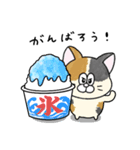 夏！毎年使える！にゃんぴーす（個別スタンプ：27）