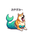 人魚なマーメイド太っちょ柴犬（個別スタンプ：1）