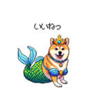 人魚なマーメイド太っちょ柴犬（個別スタンプ：3）