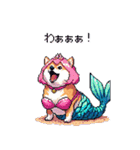 人魚なマーメイド太っちょ柴犬（個別スタンプ：4）