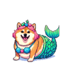 人魚なマーメイド太っちょ柴犬（個別スタンプ：5）