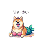 人魚なマーメイド太っちょ柴犬（個別スタンプ：8）