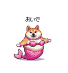 人魚なマーメイド太っちょ柴犬（個別スタンプ：12）