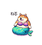 人魚なマーメイド太っちょ柴犬（個別スタンプ：15）