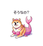 人魚なマーメイド太っちょ柴犬（個別スタンプ：17）