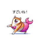 人魚なマーメイド太っちょ柴犬（個別スタンプ：24）