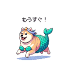 人魚なマーメイド太っちょ柴犬（個別スタンプ：26）
