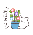 アツアツ！しろにゃんのヤバい夏（個別スタンプ：9）