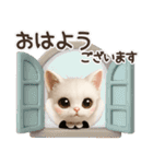 年中ずっ〜と使える★愛猫のスタンプ【3D】（個別スタンプ：7）