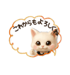 年中ずっ〜と使える★愛猫のスタンプ【3D】（個別スタンプ：11）