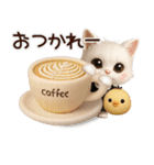 年中ずっ〜と使える★愛猫のスタンプ【3D】（個別スタンプ：14）