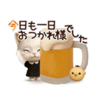 年中ずっ〜と使える★愛猫のスタンプ【3D】（個別スタンプ：15）