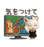 年中ずっ〜と使える★愛猫のスタンプ【3D】（個別スタンプ：20）