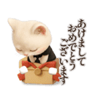 年中ずっ〜と使える★愛猫のスタンプ【3D】（個別スタンプ：36）