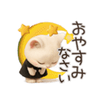 年中ずっ〜と使える★愛猫のスタンプ【3D】（個別スタンプ：37）