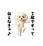 エッホエッホトイプードル（個別スタンプ：3）
