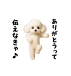 エッホエッホトイプードル（個別スタンプ：5）