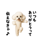 エッホエッホトイプードル（個別スタンプ：6）