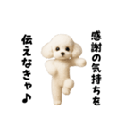 エッホエッホトイプードル（個別スタンプ：7）