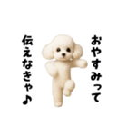 エッホエッホトイプードル（個別スタンプ：10）