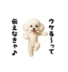 エッホエッホトイプードル（個別スタンプ：11）