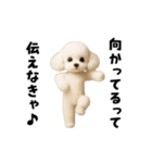 エッホエッホトイプードル（個別スタンプ：13）