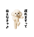 エッホエッホトイプードル（個別スタンプ：15）