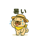 ころころなフォーンパグさん＊日常編＊（個別スタンプ：11）