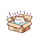 お風呂猫 疑問がある,（個別スタンプ：6）