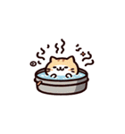 お風呂猫 疑問がある,（個別スタンプ：25）
