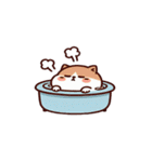 お風呂猫 疑問がある,（個別スタンプ：30）