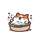 お風呂猫 大爆笑,（個別スタンプ：2）