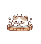 お風呂猫 とても緊張してる,（個別スタンプ：28）