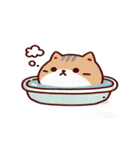 お風呂猫 怒ってる,（個別スタンプ：8）