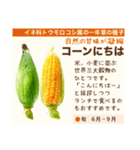 架空野菜果物図鑑（個別スタンプ：3）