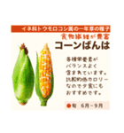 架空野菜果物図鑑（個別スタンプ：4）