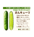 架空野菜果物図鑑（個別スタンプ：5）