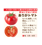 架空野菜果物図鑑（個別スタンプ：6）