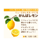 架空野菜果物図鑑（個別スタンプ：7）