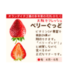 架空野菜果物図鑑（個別スタンプ：12）