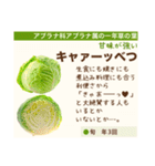 架空野菜果物図鑑（個別スタンプ：13）