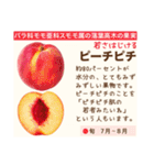 架空野菜果物図鑑（個別スタンプ：14）