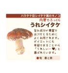 架空野菜果物図鑑（個別スタンプ：20）