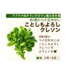 架空野菜果物図鑑（個別スタンプ：24）