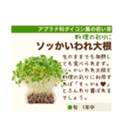 架空野菜果物図鑑（個別スタンプ：31）
