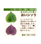 架空野菜果物図鑑（個別スタンプ：34）